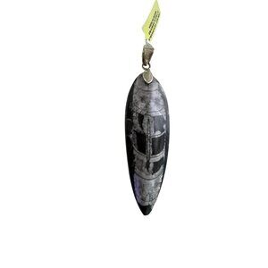Orthoceras Fossil Pendant With Sterling Silver 925 Bail